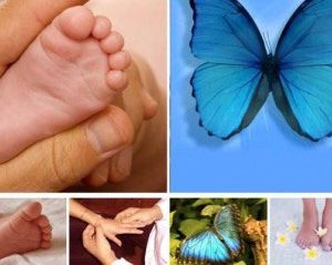 TÉCNICA METAMÓRFICA